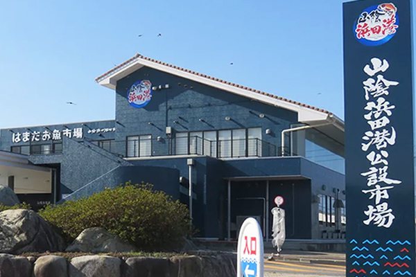 はまだお魚市場